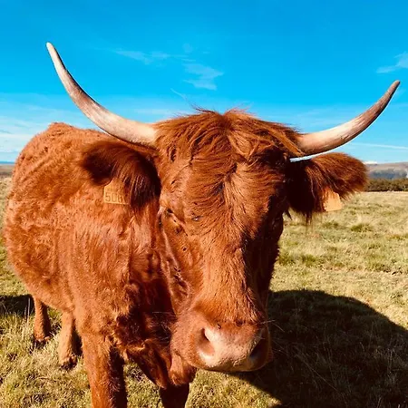 Maison Avec Jardin * 萨莱