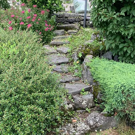 Maison Avec Jardin 度假居