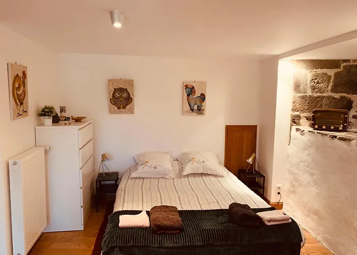 Maison Avec Jardin * Salers